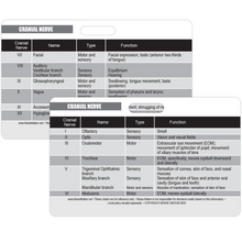 Load image into Gallery viewer, Cranial Nerve Chart Reference Horizontal Badge Card
