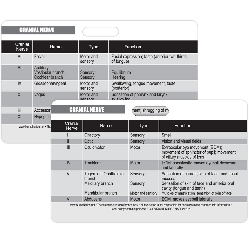 Cranial Nerve Chart Reference Horizontal Badge Card