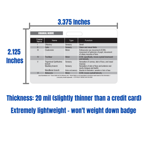 Cranial Nerve Chart Reference Horizontal Badge Card