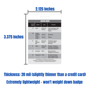 Cranial Nerve Chart Reference Vertical Badge Card