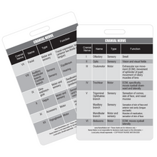 Load image into Gallery viewer, Cranial Nerve Chart Reference Vertical Badge Card
